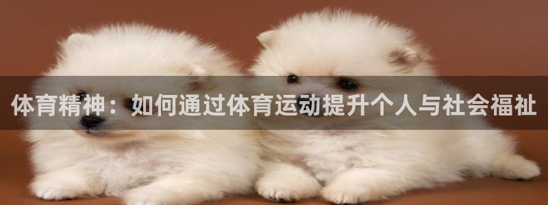 体育精神：如何通过体育运动提升个人与社会福祉