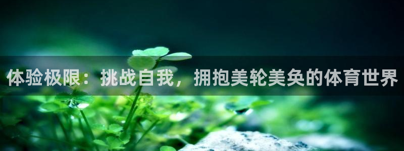 体验极限：挑战自我，拥抱美轮美奂的体育世界