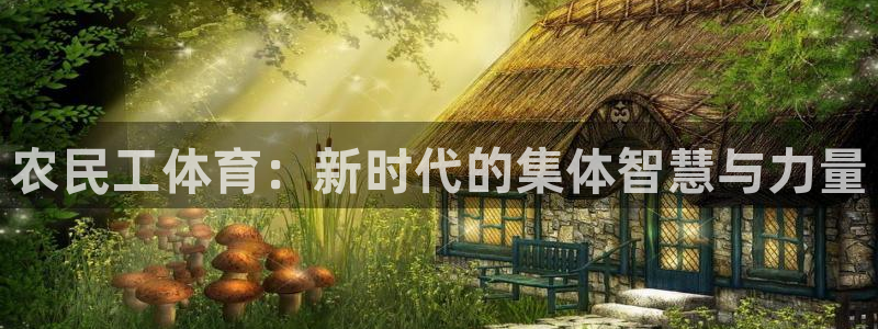 农民工体育：新时代的集体智慧与力量
