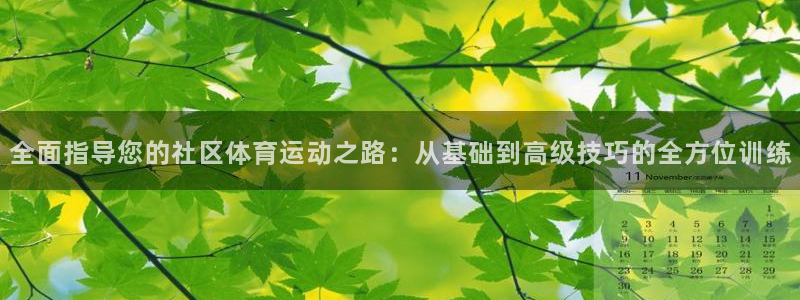 全面指导您的社区体育运动之路：从基础到高级技巧的全方位训练
