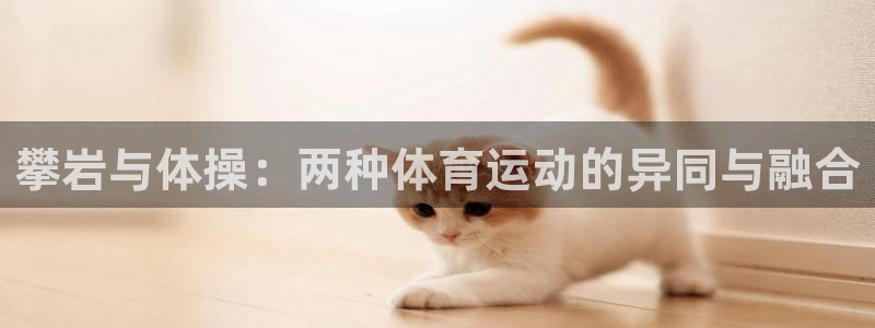 攀岩与体操：两种体育运动的异同与融合