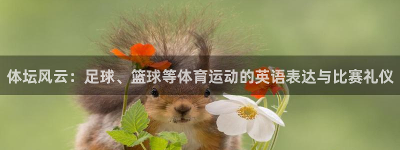 体坛风云：足球、篮球等体育运动的英语表达与比赛礼仪