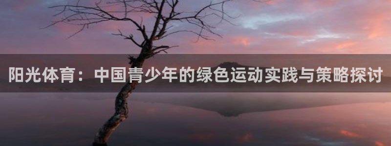 阳光体育：中国青少年的绿色运动实践与策略探讨